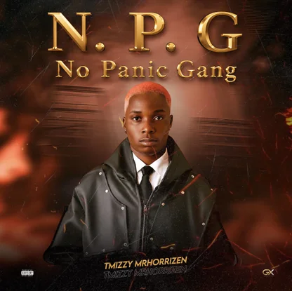 TMIZZY MRHORRIZ Ft. No Panic Gang – N. P. G