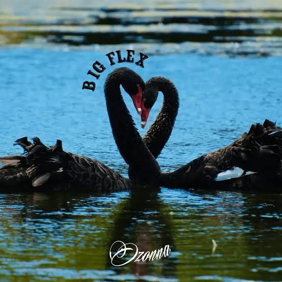 Ozonna – Big Flex